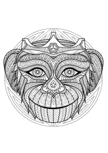 Mandala Con Una Hermosa Cabeza De Mono Y Motivos Geométricos