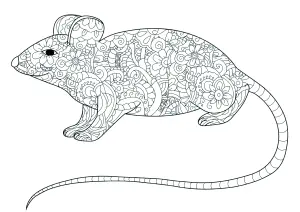Ratoncito Florido