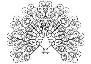 Pavo Real Con Corazones