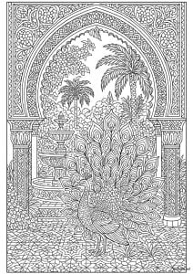 Pavos reales 62897