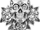 Calavera Y Rosa