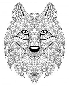 lobos-70197