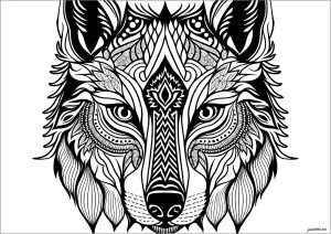 Magnífica Cabeza De Lobo