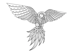 Zentangle Loro
