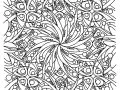 Illustrazione zen