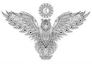 Incredibile aquila
