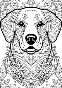 Cane Con Bei Disegni
