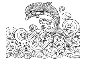 Delfino con onde semplici