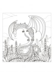 Pagina Di Drago Da Colorare Con Molti Dettagli