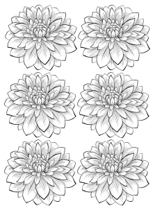 Fiori E Vegetazione 29134