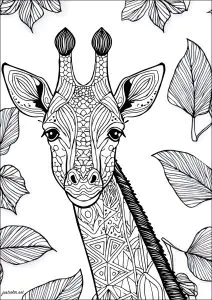 Bella giraffa con sfondo di foglie