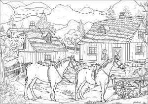 Cavalli in una fattoria