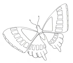 Insetti 83769