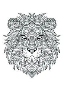Testa di leone con molti motivi intricati