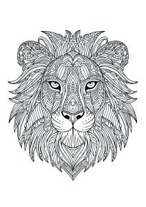Lions 18747
