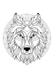 Mandala Con Elegante Testa Di Lupo E Splendidi Motivi