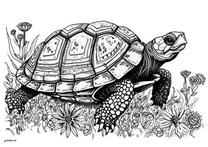 Una Bella Tartaruga Che Si Muove Lentamente Tra I Fiori