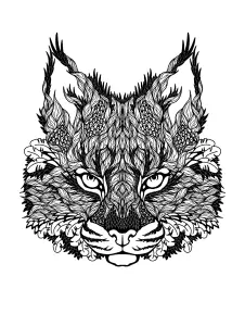 Kopf Der Katze In Farbe