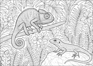Tropisches duo
