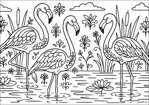 Eleganz der rosa Flamingos