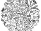 Blumen Vegetation 97930