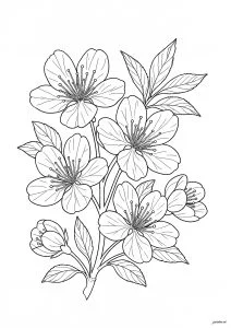 Pfirsichblüte