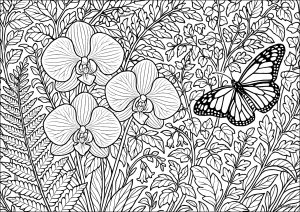 Blumen vegetation 61477