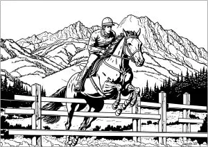 Jockey Reitet Pferd   1