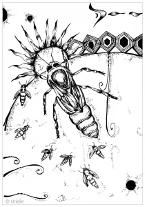 Schmetterlinge und insekten 22380