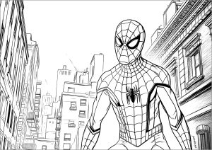 Spiderman in New York