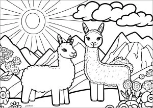 Zwei Lustige Lamas