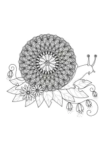 Mandalas 24847