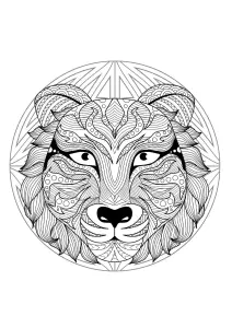 Mandala Mit Schönem Wolfskopf Und Geometrischen Mustern