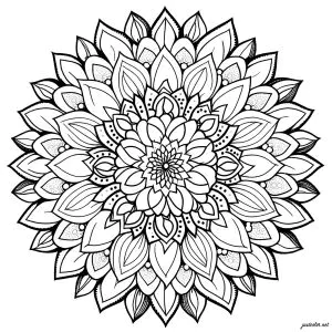Einfaches Mandala Mit Blütenblättern