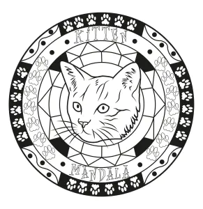 Mandalas 78954
