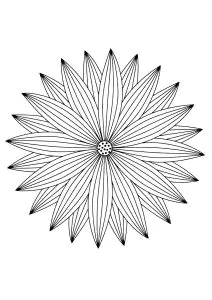 Mandala Mit Feinen Blütenblättern