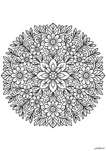 Symmetrische florale mandalas