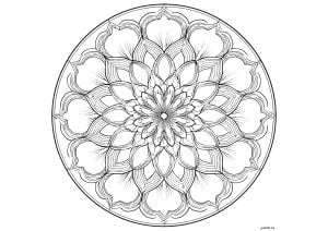 Hübsches mandala mit großen blütenblättern