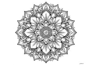 Komplexes mandala mit blättern und blütenblättern