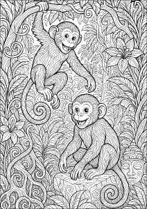 Monkeys 1172