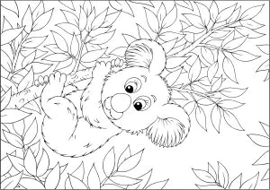 Niedlicher Koala, der sich an einen Bambuszweig klammert