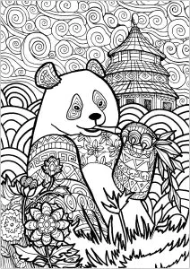 Panda In China