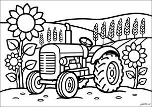 Traktor inmitten der Felder und Sonnenblumen