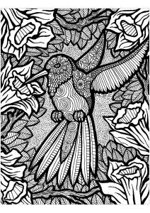 Hübscher Kolibri Umgeben Von Blumen