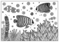 Zentangle 38758