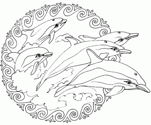 Un bonito mandala de espíritu "marino", con soberbios delfines.