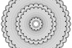 Uma mandala muito bonita para colorir com várias flores muito bonitas. Nível normal.