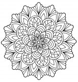 Flores e vegetacao 87264