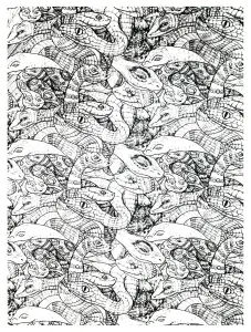 Desenhos Para Colorir De Animais Para Imprimir