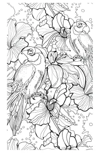 Desenhos Simples Para Colorir Para Crianças De Animais, Grátis, Para Baixar